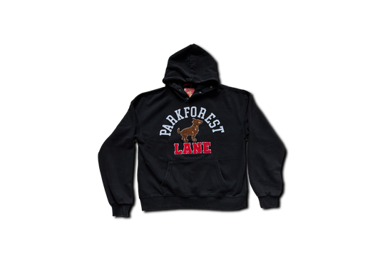 Velvet Lined Hoodie