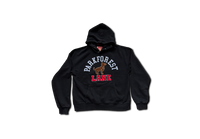 Velvet Lined Hoodie